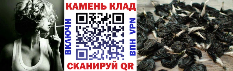 ГАШ хэш  KRAKEN вход  Южа 