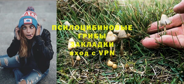 стафф Абинск