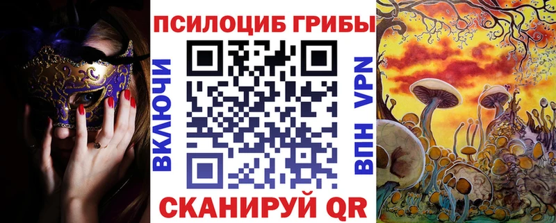 Галлюциногенные грибы Psilocybine cubensis  Южа 